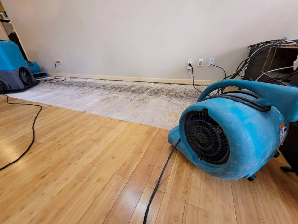 Professional Water Extraction technician working in Avon, CO